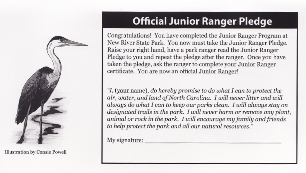 Jr Ranger Pledge